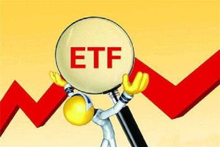 Bitwise首席投资官：比特币现货ETF在前14个交易日的资本流入超过了黄金ETF